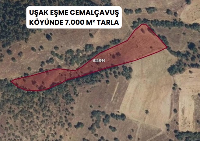 İlan Fotoğrafı